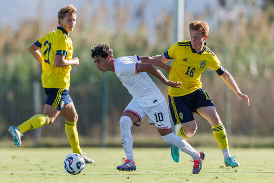Maximilian Ibrahimovic and William Andersson of Sweden