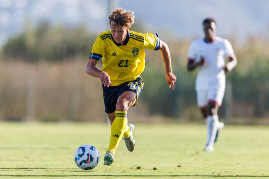 Maximilian Ibrahimovic of Sweden