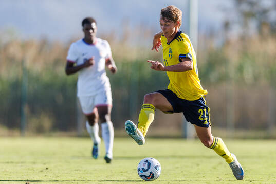 Maximilian Ibrahimovic of Sweden