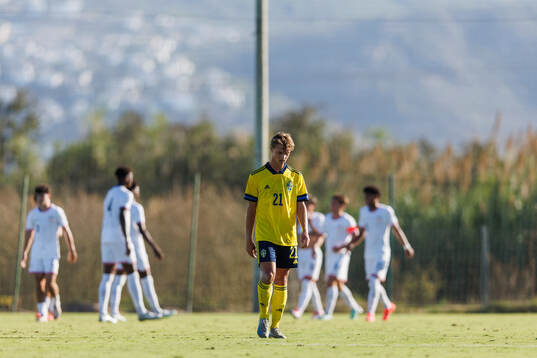 Maximilian Ibrahimovic of Sweden