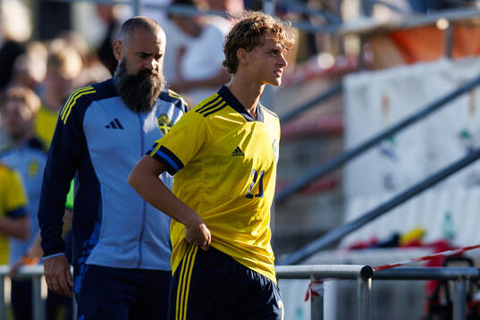 Maximilian Ibrahimovic of Sweden