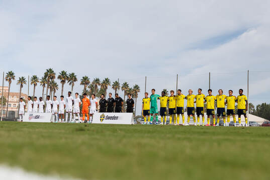 Players of Sweden