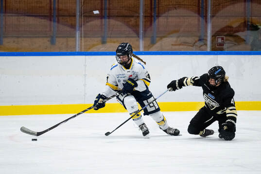 HV71s Evelina Arvidsson och SDEs Kayleigh Hamers