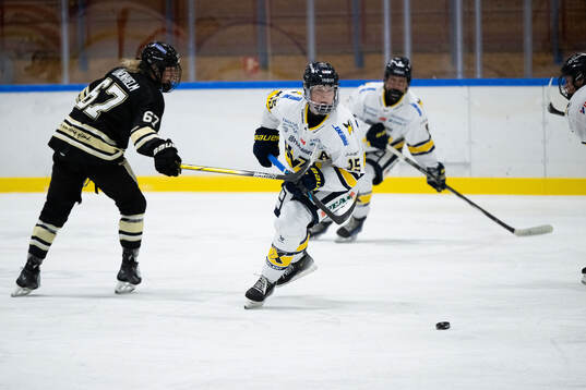 HV71s Jessica Adolfsson