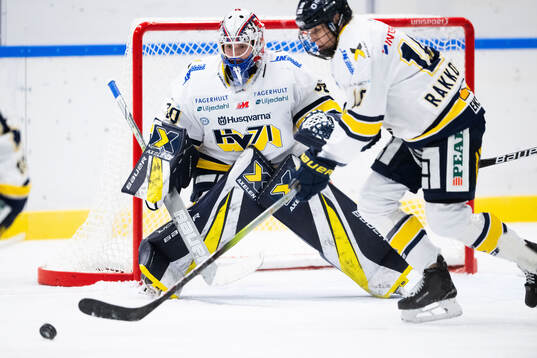 HV71s målvakt Viktorie Svejdova