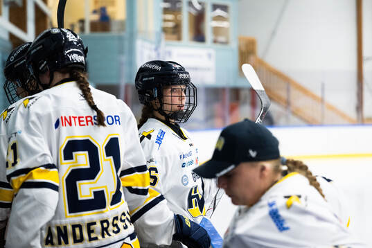HV71s Kajsa Armborg