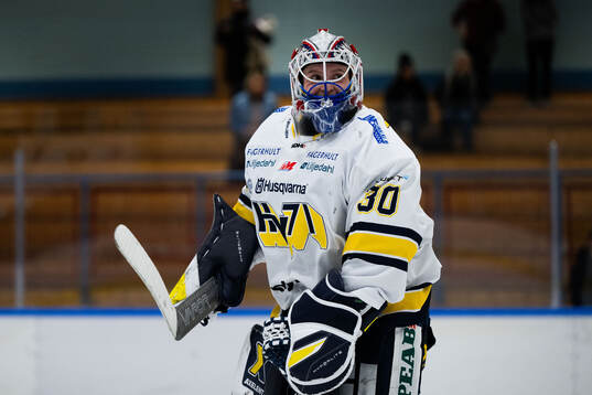HV71s målvakt Viktorie Svejdova jublar