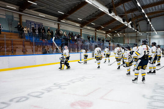 HV71s spelare jublar
