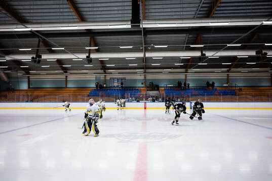 HV71s och SDEs spelare