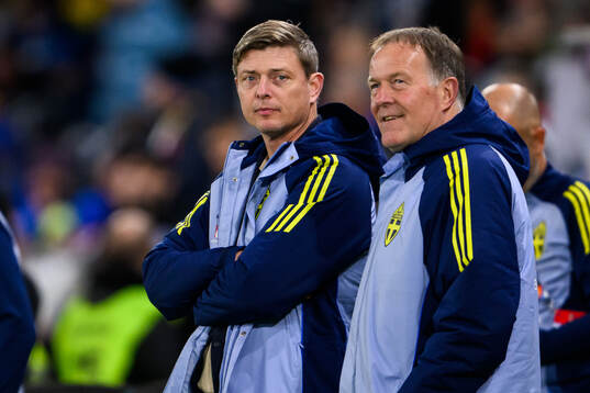 head coach Jon Dahl Tomasson and assistant coach Remy