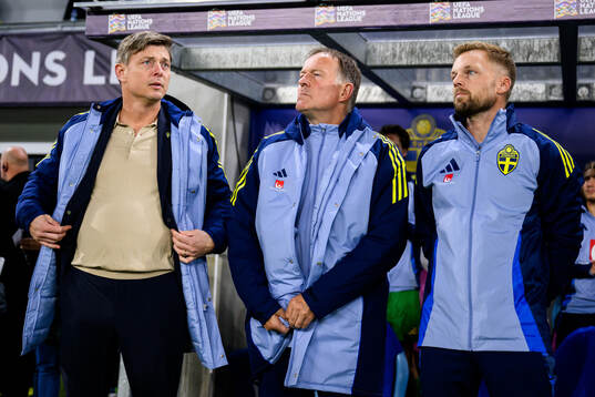 head coach Jon Dahl Tomasson, assistant coach Remy