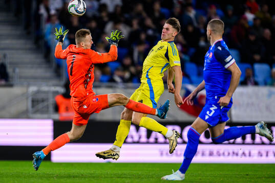 goalkeeper Marek Rodák of Slovakia and Viktor Gyökeres of