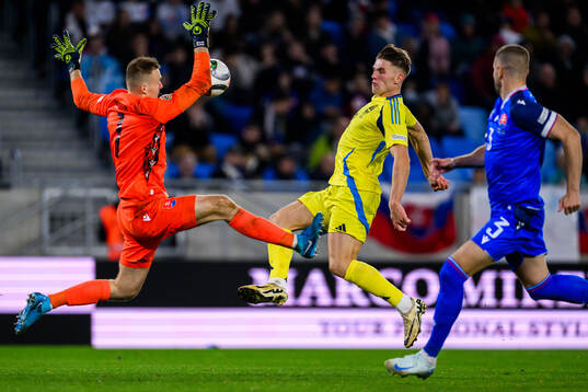 goalkeeper Marek Rodák of Slovakia and Viktor Gyökeres of
