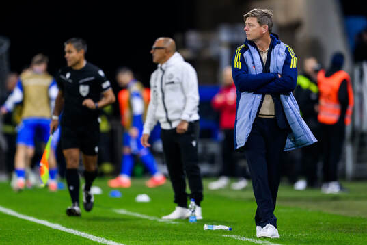 head coach Jon Dahl Tomasson of Sweden