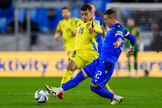 Yasin Ayari of Sweden and Peter Pekarik of Slovakia