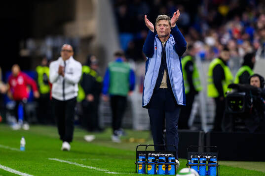 head coach Jon Dahl Tomasson of Sweden
