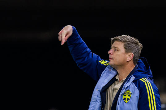 head coach Jon Dahl Tomasson of Sweden