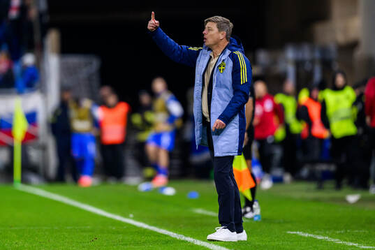 head coach Jon Dahl Tomasson of Sweden