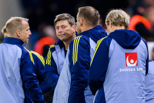 head coach Jon Dahl Tomasson of Sweden