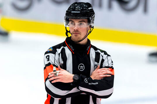 Domare Filip Eriksson