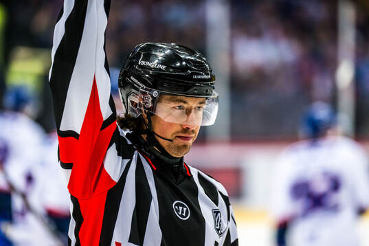 Domare Robin Jacobsson