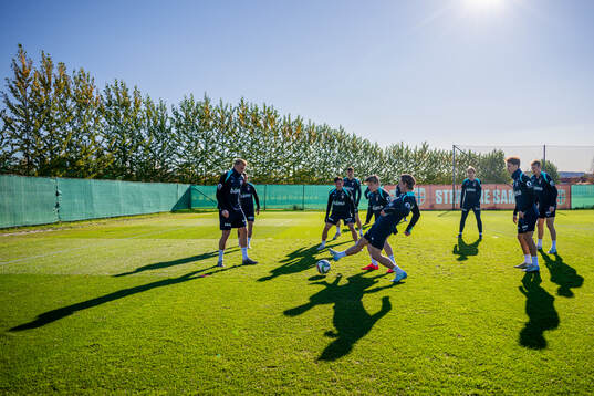 Patrick Berg and players of the Norwegian national football