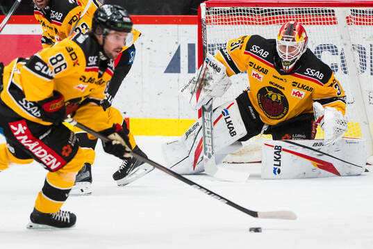 Luleås målvakt Matteus Ward