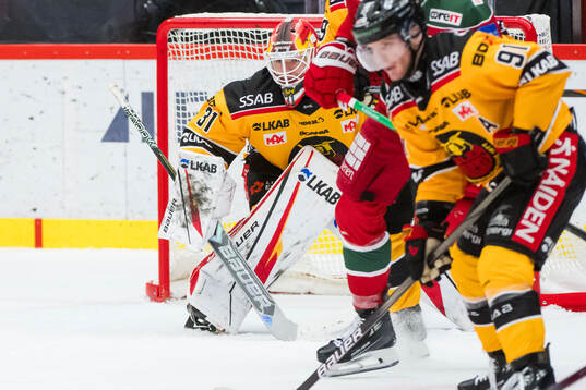 Luleås målvakt Matteus Ward