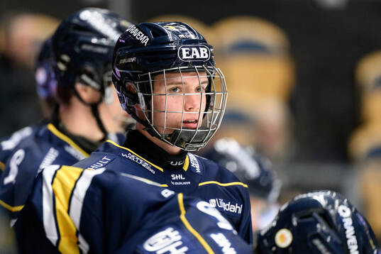 HV71s Wilhelm Hallquisth