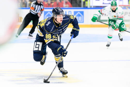 HV71s Herman Träff