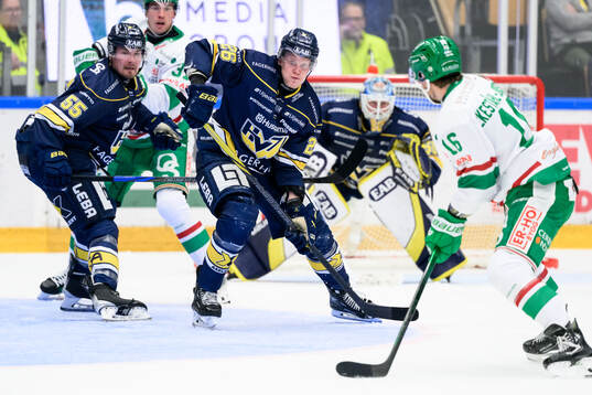 HV71s Mikael Seppälä och Tommi Tikka
