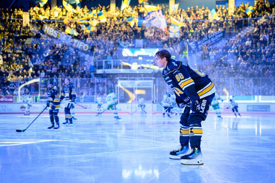 HV71s Herman Träff