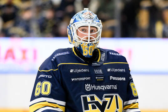 HV71s målvakt Hugo Alnefelt