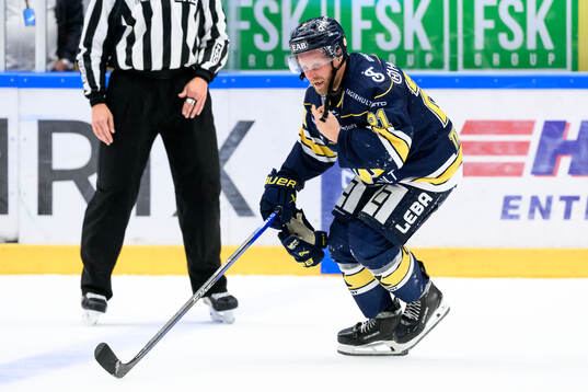 HV71s Mattias Tedenby deppar