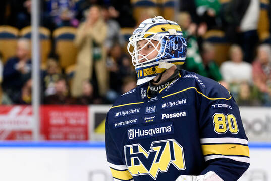 HV71s målvakt Frederik Dichow deppar