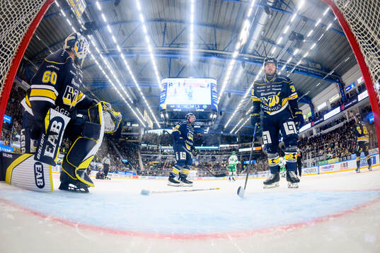 HV71s målvakt Hugo Alnefelt och Oscar Engsund deppar