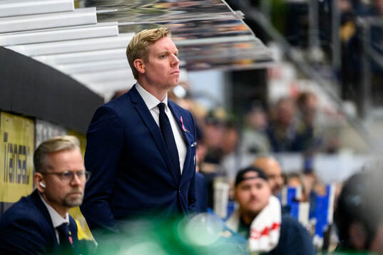 HV71s tränare Anton Blomqvist