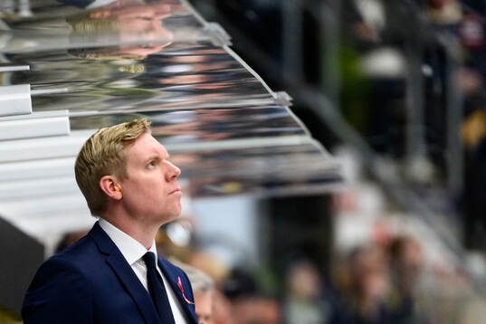 HV71s tränare Anton Blomqvist