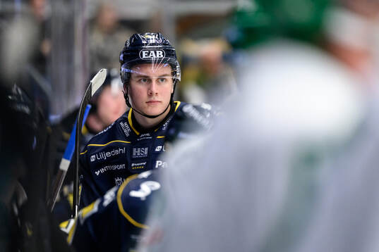 HV71s Herman Träff