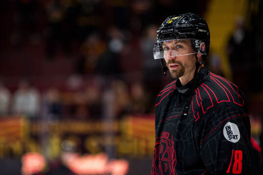 Brynäs Anton Rödin