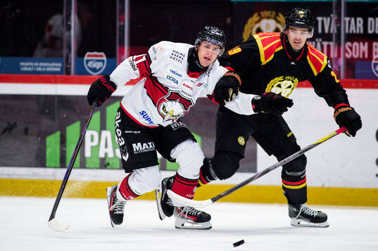 Malmö Redhawks Nikola Pasic och Brynäs Axel Andersson