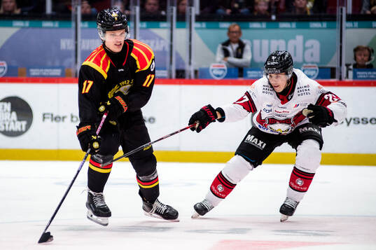 Brynäs Viktor Persson och Malmö Redhawks Henrik Haapala