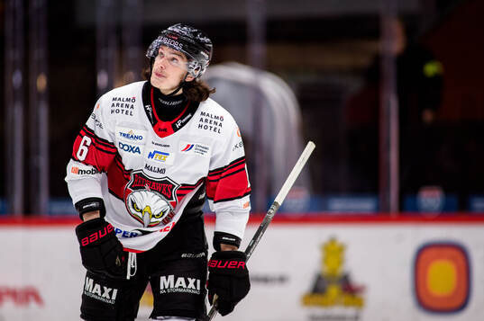 Malmö Redhawks Dominik Badinka deppar