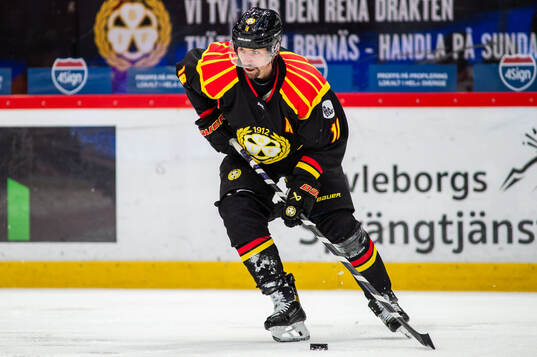 Brynäs Anton Rödin