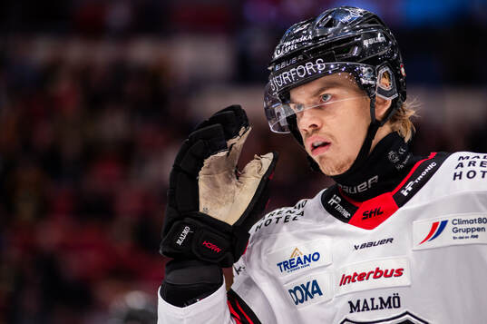 Malmö Redhawks Albert Sjöberg