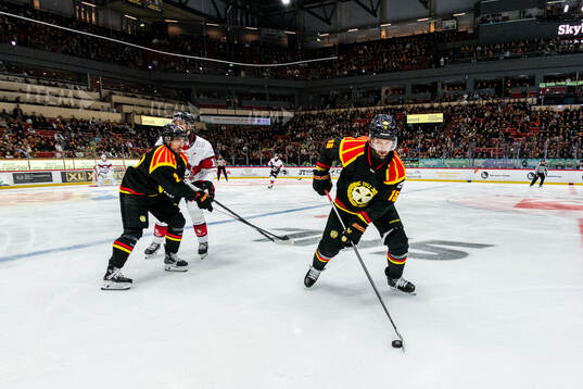 Brynäs Simon Bertilsson