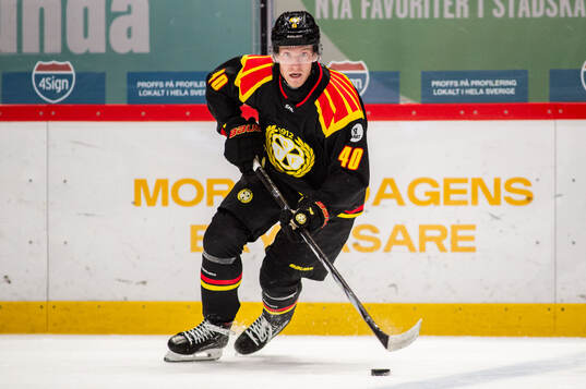 Brynäs Anton Ohlsson