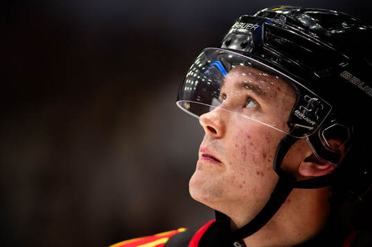 Brynäs Theo Lindstein