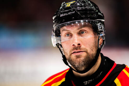 Brynäs Johan Larsson