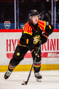 Brynäs Victor Söderström